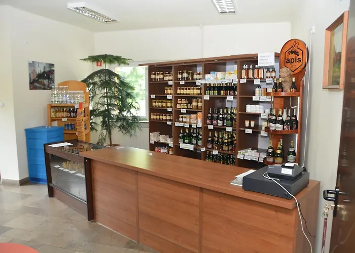 Dom Pszczelarza W Kamiannej